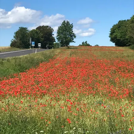 Schoene Mit Boddenblick 아파트 사가드
