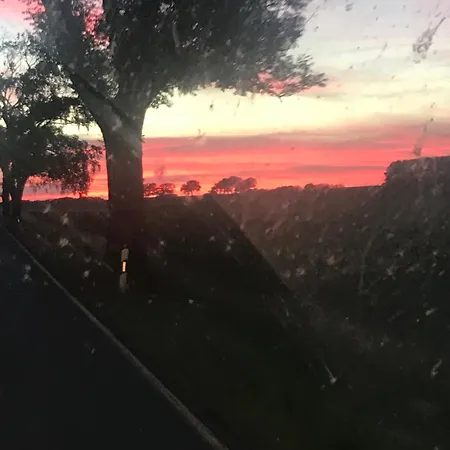 아파트 Schoene Mit Boddenblick 사가드