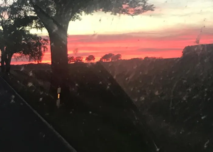 Apartment Schoene Mit Boddenblick Sagard