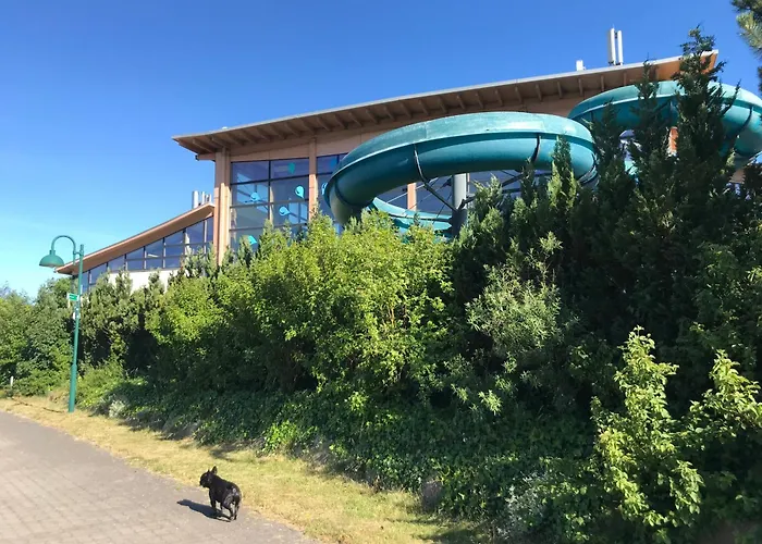 Schoene Mit Boddenblick Apartment Sagard